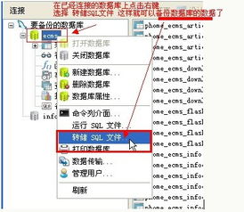 Navicat 高效、強(qiáng)大的跨平臺(tái)數(shù)據(jù)庫(kù)管理工具